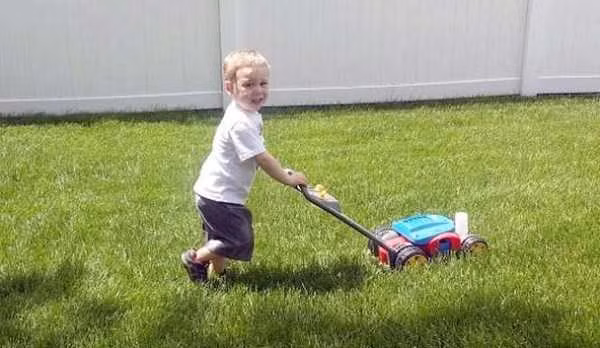 Cắt cỏ làm vườn.