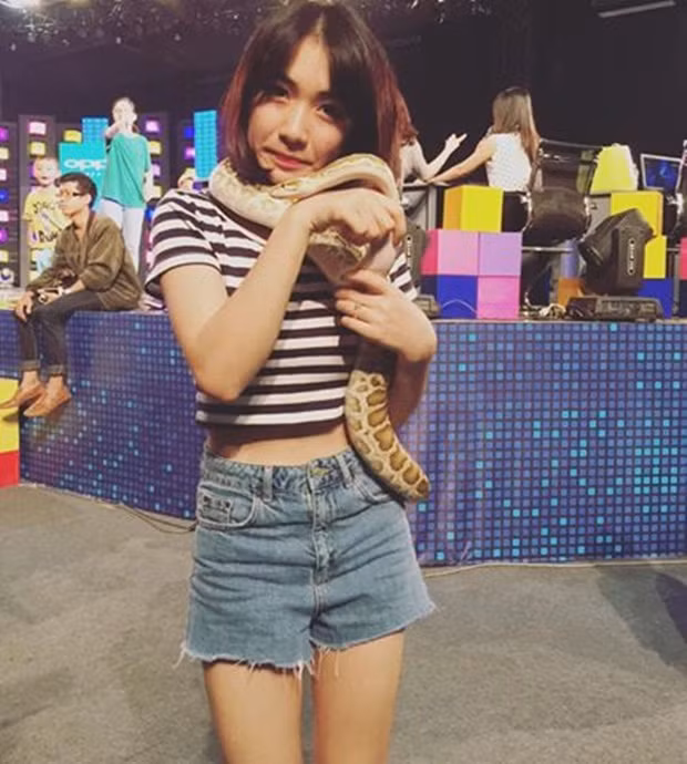 Ngay cả rắn cô cũng dám bắt, vì thế việc cuốn trăn quanh cổ chỉ là một trò đùa của ca sĩ Hòa Minzy với NHM mà thôi.