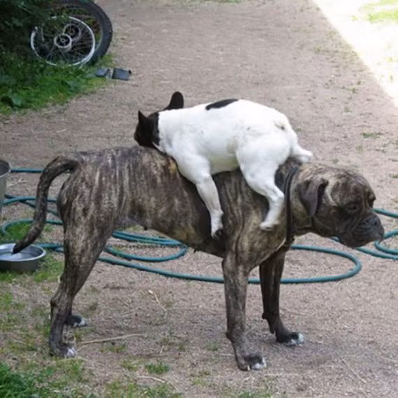 Bạ đâu ngủ đấy.