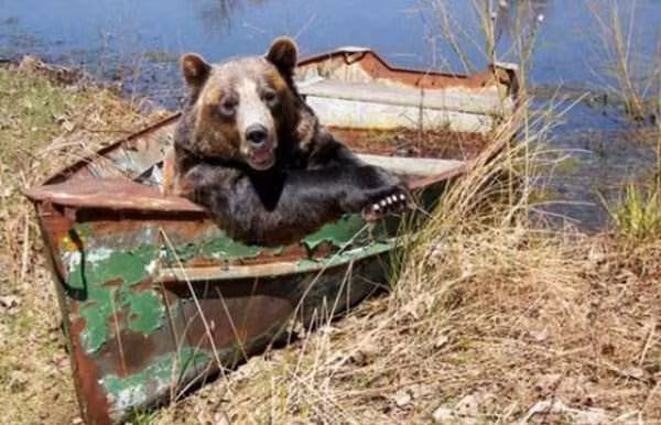 Chụt choẹt gì thế!