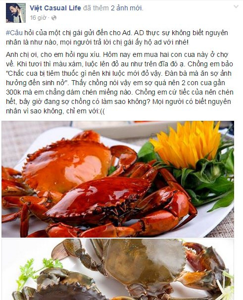 Thắc mắc "lạ đời" của cô gái khiến không ít người cười "bể bụng". Nhiều người cho rắc đầu óc cô gái có vấn đề nên mới đi hỏi một điều hiển nhiên như vậy, vì ai cũng biết khi luộc lên ngô nếp luôn ngả sang màu vàng. Nhưng có nhiều người lại cho rằng, đó có thể là chiêu trò "trêu đùa" cộng đồng mạng của cô gái. Mục đích của cô gái là gì cho đến giờ vẫn chưa được biết, nhưng có một sự thật rằng, bức ảnh cùng lời thắc mắc "ngô nghê" đó đã thu hút sự quan tâm lớn của cộng đồng mạng với hơn 20 nghìn lượt like (thích) và gần chục nghìn lượt chia sẻ.