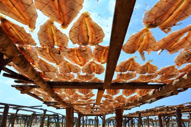 Phước Hải hội tụ nét duyên của bãi biển đẹp, hoang sơ và thơ mộng. Đến đây, ngoài tắm biển, bạn còn có thể tự tay chọn hải sản từ tàu đánh cá cập bờ mỗi sáng, mỗi chiều. Ảnh: Hivietnam.