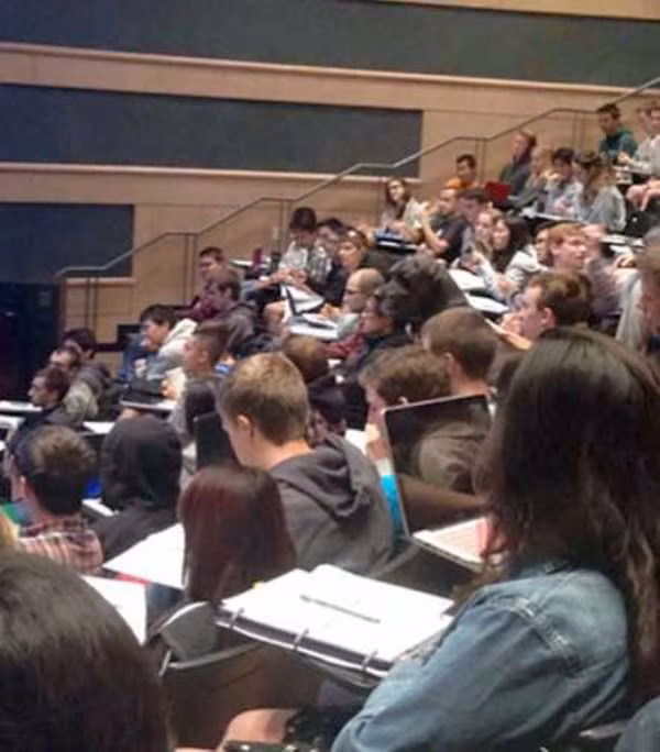 Tôi thấy chú chó trong lớp học.