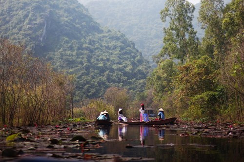 Nhiều cô gái trẻ còn chuẩn bị sẵn áo dài, áo tứ thân để chụp cùng hoa súng.
