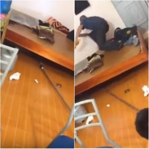 SV ho nhau bat ran duoi gam giuong phong tro o HN