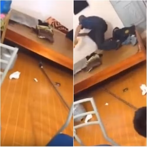 SV ho nhau bat ran duoi gam giuong phong tro o HN