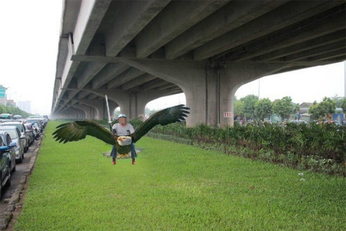 Một số bức ảnh chế về chàng trai này cũng khiến dân mạng không nhịn được cười.