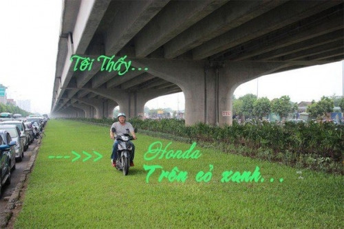 Bức ảnh này sau đó cũng được dân mạng chia sẻ với lời mô tả dựa trên bộ phim “Tôi thấy hoa vàng trên cỏ xanh” đang hot.