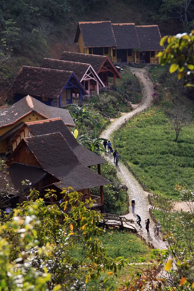 Làng Cù Lần (Lạc Dương, Lâm Đồng) là một ngôi làng nhỏ xinh đẹp, lãng mạn (rộng chừng 30 ha) nằm lọt thỏm giữa hàng ngàn ha rừng nguyên sinh hoang dã dưới chân đỉnh núi Lang Biang. Giữa không gian thiên nhiên tuyệt đẹp của núi rừng, làng mang vẻ đẹp hoang sơ với những ngôi nhà sàn truyền thống của đồng bào dân tộc K'Ho. Ảnh: John.