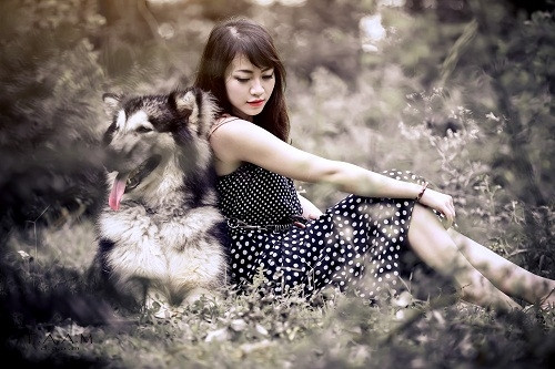 Đặc biệt, với một người bạn thân như Ngân, Xám lại càng ngoan ngoãn và yêu quý.