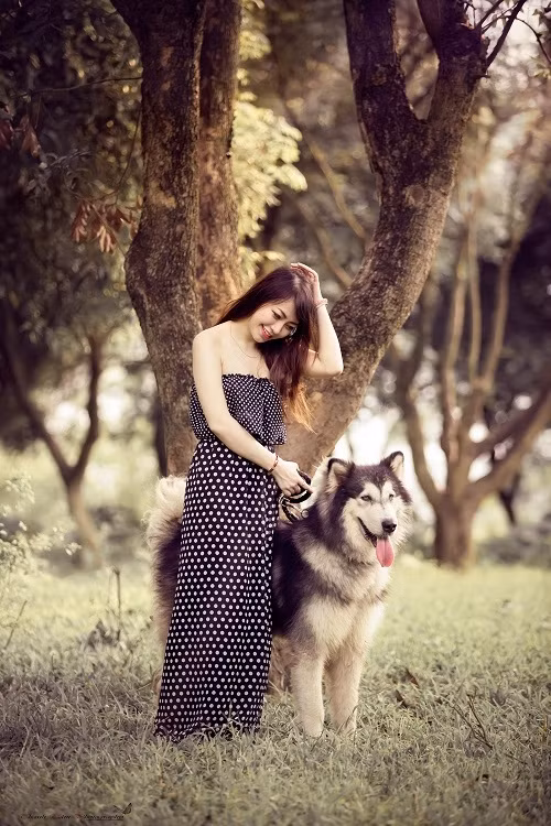 Ảnh: Phan Thanh Tâm.