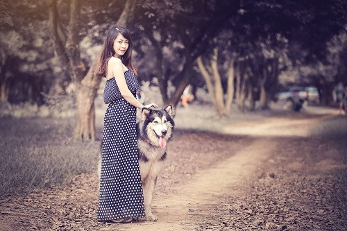 Hiện Xám đã rất cao lớn nhưng vẫn ngoan ngoãn, nghe lời và rất dễ nuôi.