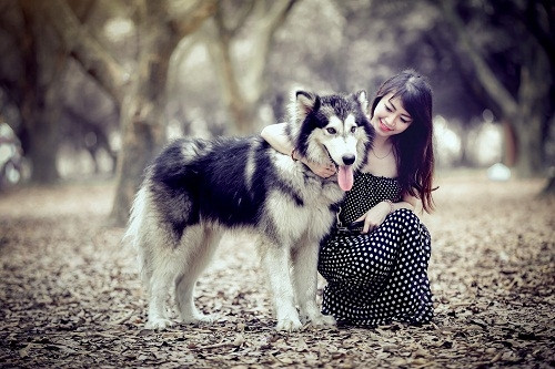 Ngân rất thích nuôi chó nhưng công việc cùng sự di chuyển nhiều khiến cô khó có thời gian chăm sóc chúng.