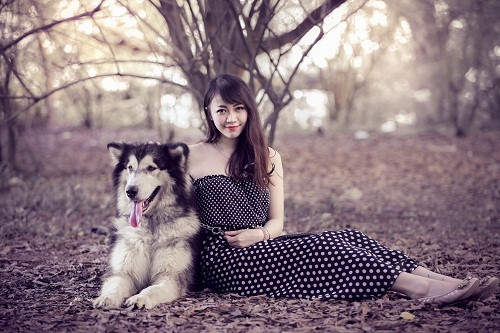 Xám được chủ mua ba năm trước với giá 1.100 đô la Mỹ.