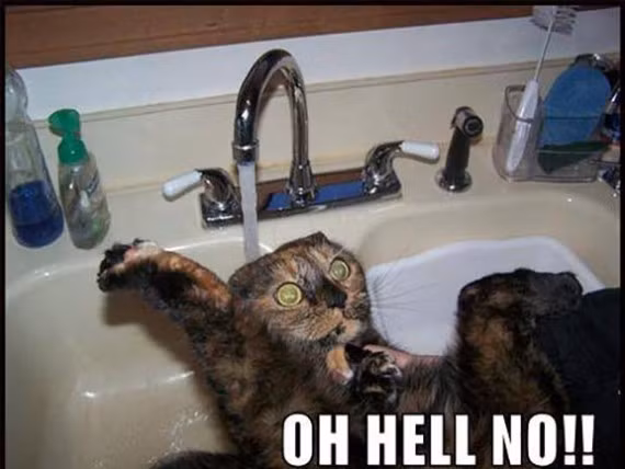 Bồn tắm lý tưởng.