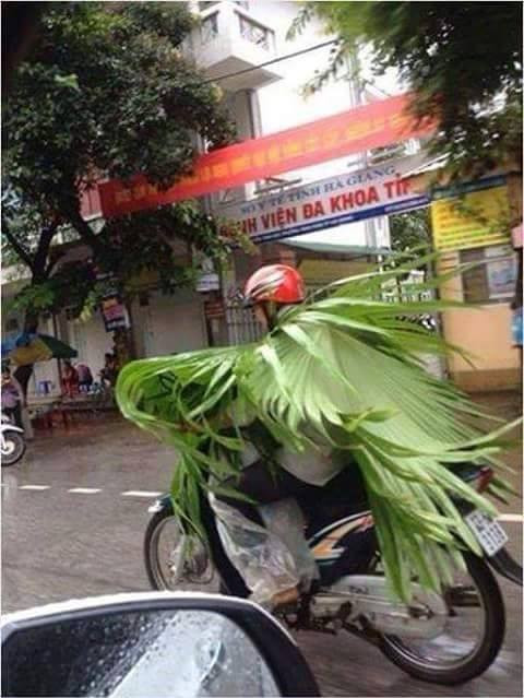 Áo mưa kiểu mới lạ.