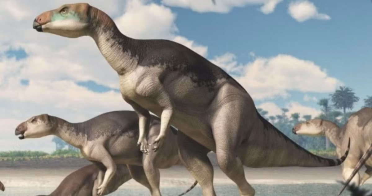 Người có đóng góp quan trọng cho phát hiện này là thợ mỏ Bob Foster. Ông là người đầu tiên tìm thấy xương hóa thạch khủng long vào những năm 1980 ở mỏ ngọc mắt mèo Sheepyard.