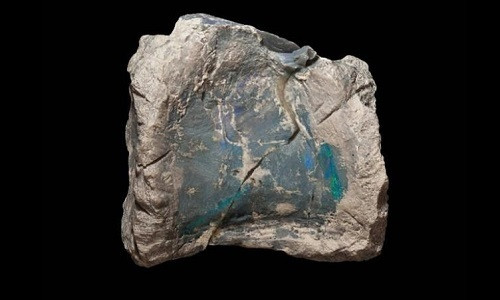 Việc tìm thấy xương khủng long cổ đại trở thành ngọc mắt mèo quý giá sau nhiều năm được đánh giá là phát hiện quan trọng đối với giới khảo cổ.