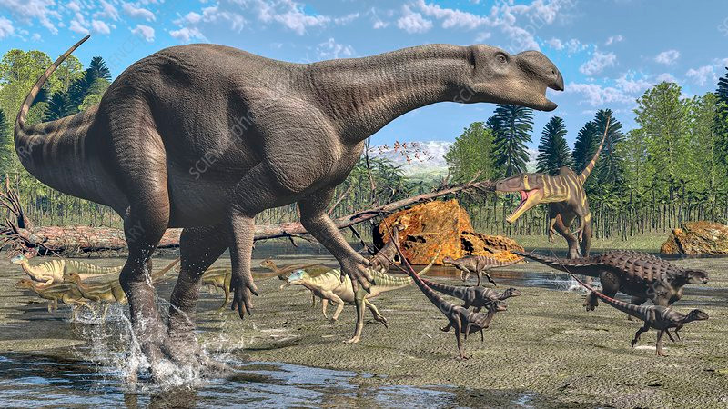 Với những phát hiện trên, các chuyên gia bắt tay vào nghiên cứu hóa thạch nhằm xác định đó là loài khủng long nào.