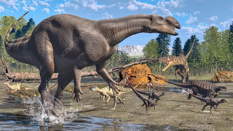 Với những phát hiện trên, các chuyên gia bắt tay vào nghiên cứu hóa thạch nhằm xác định đó là loài khủng long nào.