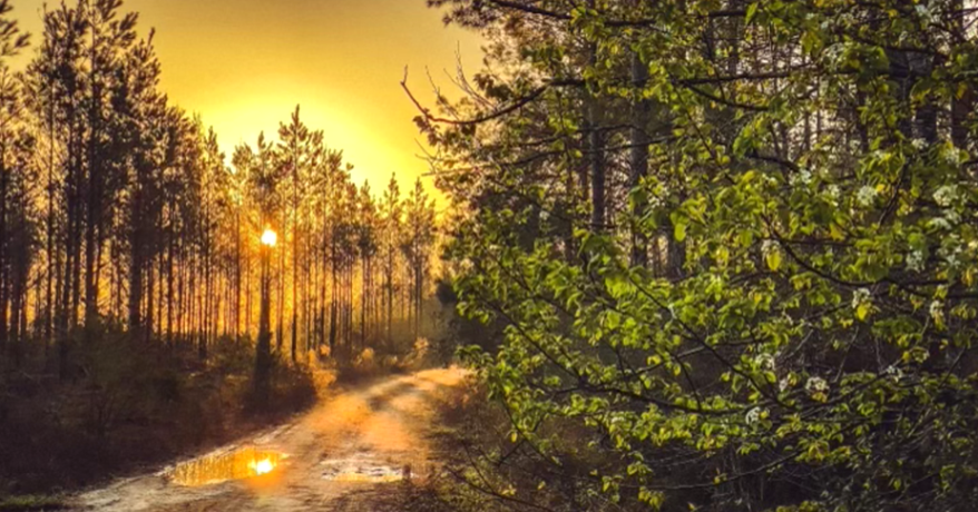 Trong lúc ấy, họ đột nhiên tìm được một số tảng đá bị tan chảy thành hình giọt nước. Hình dáng của chúng giống như được tạo ra bởi hoạt động khai thác mỏ.