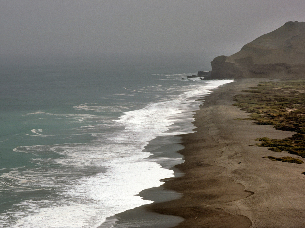Các chuyên gia suy đoán người này khả năng cao là một ngư dân. Khi kiểm tra bộ hài cốt, họ tìm thấy một số loại tảo siêu nhỏ và một số sinh vật biển nhỏ bé ở bên trong cơ thể của người này.