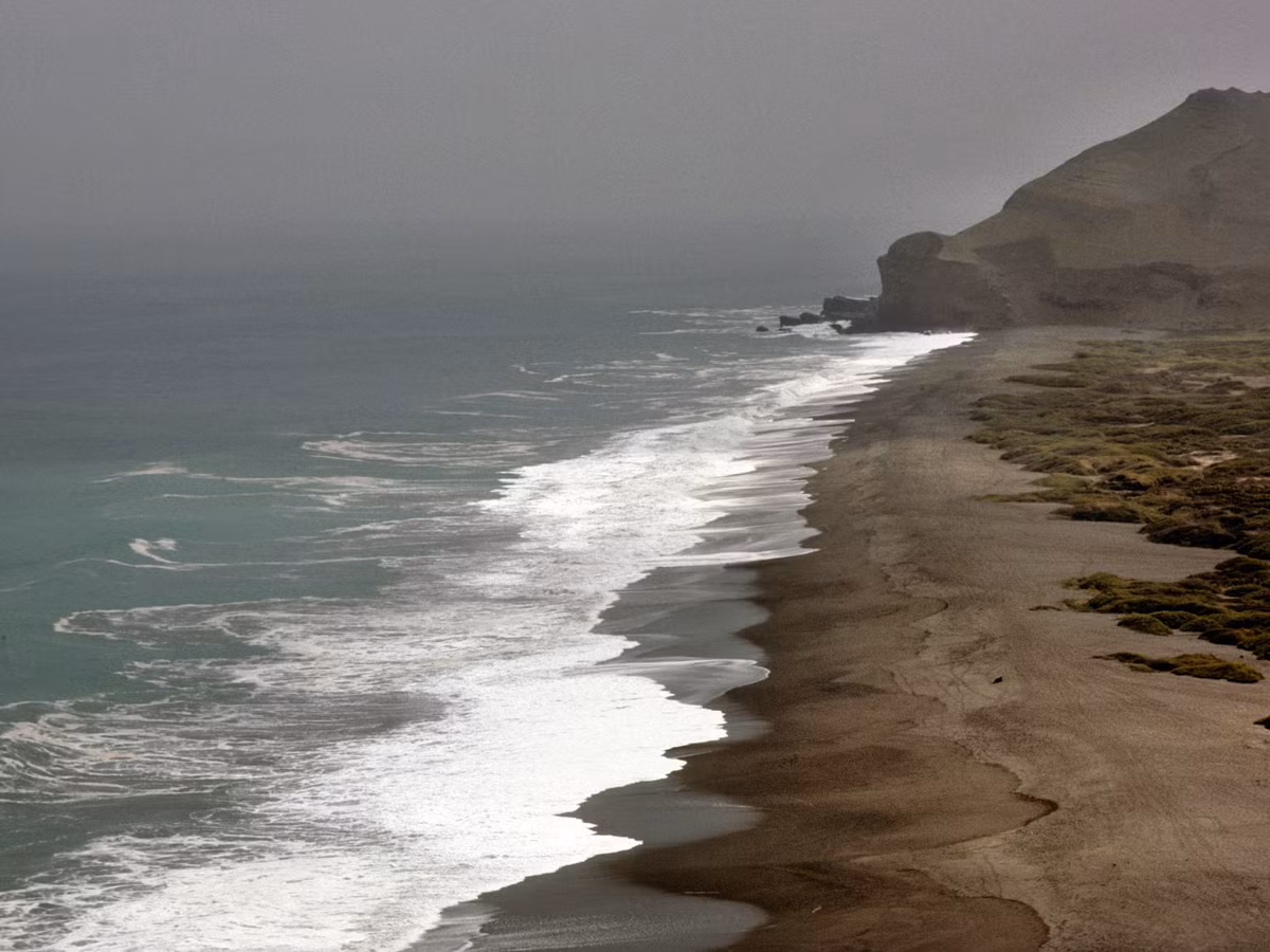 Các chuyên gia suy đoán người này khả năng cao là một ngư dân. Khi kiểm tra bộ hài cốt, họ tìm thấy một số loại tảo siêu nhỏ và một số sinh vật biển nhỏ bé ở bên trong cơ thể của người này.