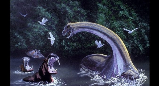 Mokele-mbembe được nhiều người biết đến là quái vật trông giống khủng long sinh sống ở lưu vực sông Congo, châu Phi. Nhiều ghi chép có từ thế kỷ 18 mô tả sinh vật bí ẩn này dành phần lớn thời gian ở dưới nước.