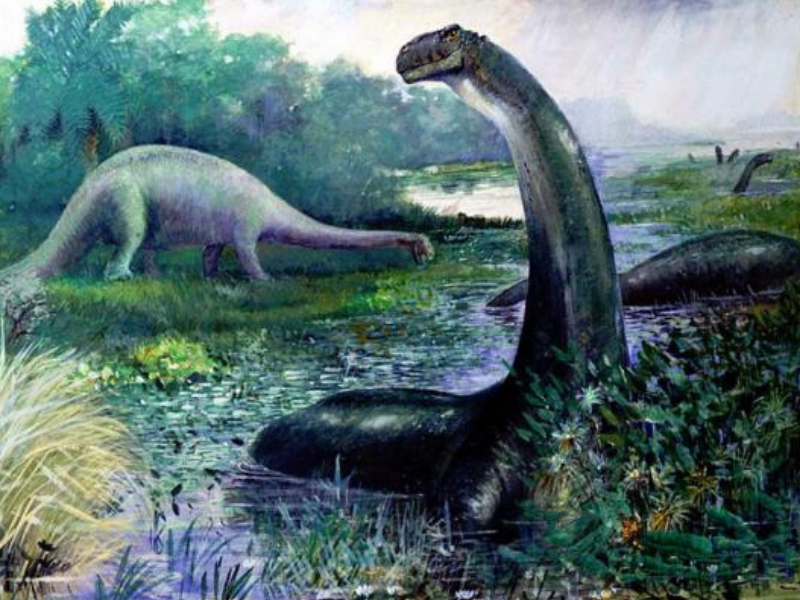 Thế nhưng, dù bỏ ra nhiều thời gian và công sức nhưng các chuyên gia vẫn chưa thể "tóm" được quái vật Mokele-mbembe. Do đó, bí ẩn về sinh vật này vẫn chưa được giải mã.