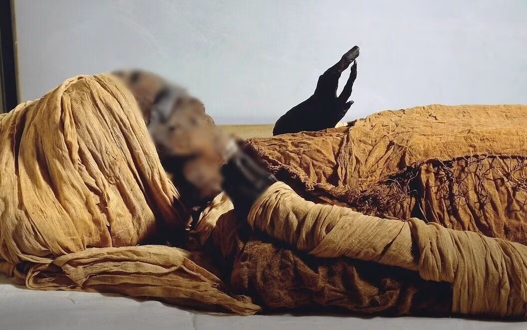 Pharaoh Seqenenre Taa II hay còn gọi Seqenenre Tao II là người trị vì lãnh thổ miền Nam Ai Cập cổ đại từ khoảng năm 1558 trước Công nguyên - 1553 trước Công nguyên.