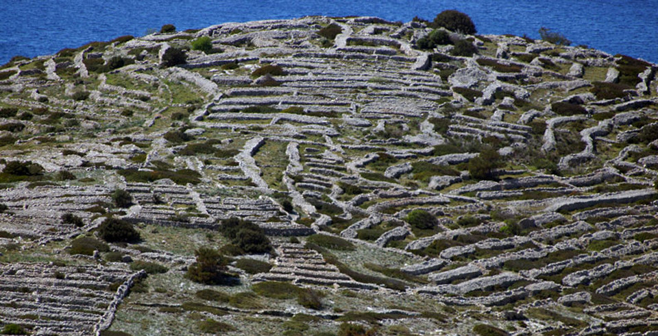 Đảo Bavljenac thuộc vùng biển Adriatic và là một trong 249 hòn đảo thuộc quần đảo Sibenik. Hòn đảo có diện tích 0,14 km2 và hiện không có người ở.