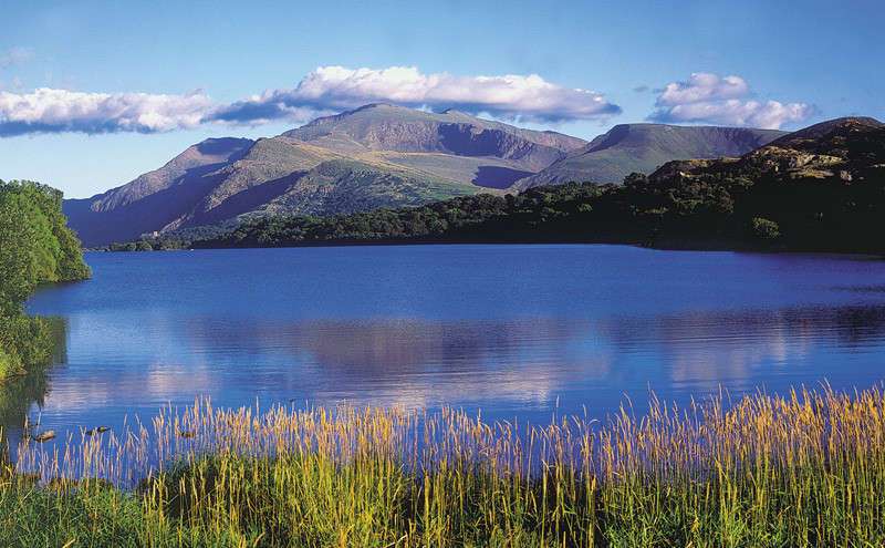 Dù vậy, vài người không từ bỏ hy vọng nên vẫn đi tìm tung tích của quái vật sống dưới đáy hồ Tanganyika với hy vọng một ngày nào đó, bí ẩn về nó sẽ dược làm sáng tỏ.