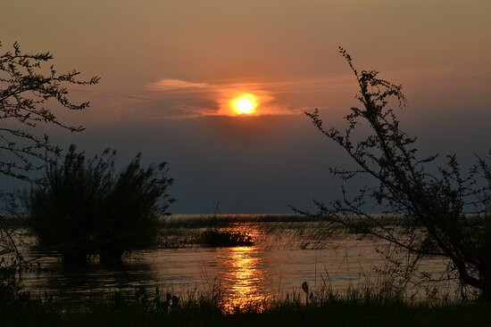 Kể từ đó, những câu chuyện về thủy quái ở sống trong hồ Tanganyika được lan truyền rộng rãi trong dân chúng. Một vài người tìm đến hồ nước này với hy vọng có thể nhìn thấy nó từ xa.