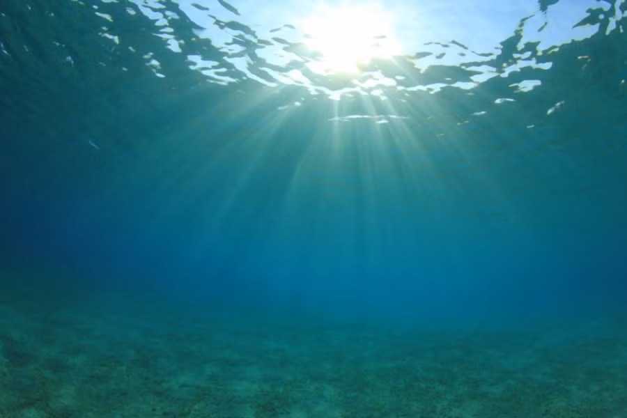 Kho báu đó chính là lượng uranium khổng lồ chưa được con người khai thác. Theo tính toán của các chuyên gia, ước tính các đại dương chứa hơn 4,5 tỉ tấn uranium. Khối lượng uranium trong ở các đại dương lớn gấp khoảng 1.000 lần uranium có trên đất liền.