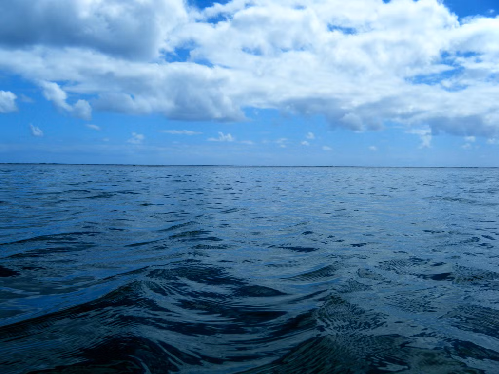 Dựa trên công nghệ của Nhật Bản, các nhà khoa học tại phòng thí nghiệm quốc gia về năng lượng Oak Ridge sử dụng sợi nhựa có diện tích bề mặt rộng gấp 10 lần so với tấm thảm của Nhật Bản. Điều này sẽ nâng cao khả năng hấp thụ uranium trên một diện tích tương tự.