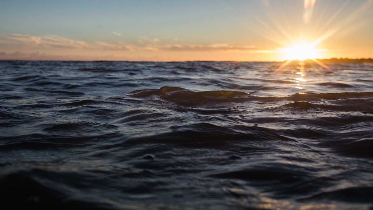 Sau khi thả xuống đại dương, tấm thảm đó sẽ hấp thụ được lượng nhỏ uranium trong đại dương. Các nhà nghiên cứu thường thả thảm xuống độu sâu 200m so với mặt nước biển để hấp thụ uranium trước khi được đưa lên mặt đất.