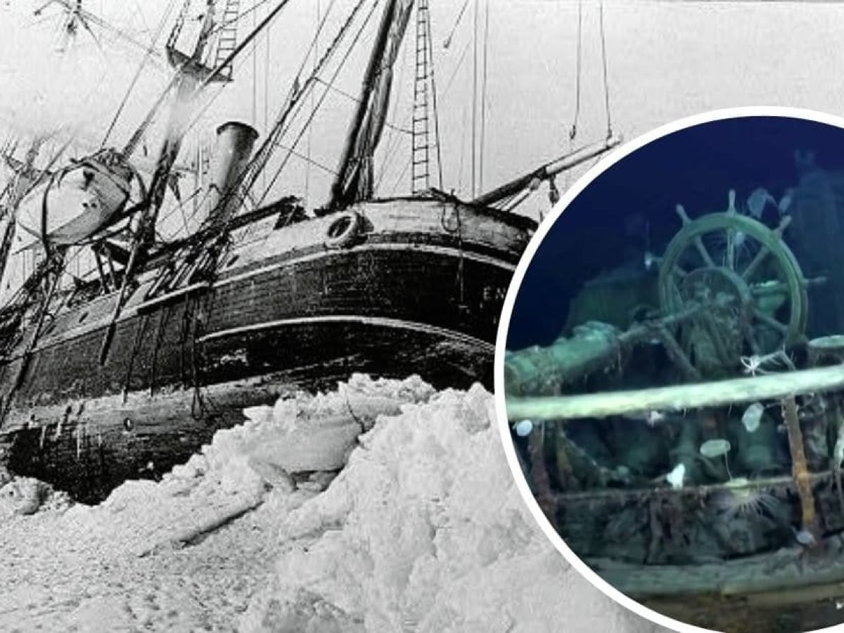 Sự việc này khiến tàu Endurance không thể tiến lên hoặc lùi lại. Cuối cùng, các thành viên thủy thủ đoàn buộc phải bỏ lại con tàu vào ngày 24/2/1915. Đến ngày 30/8/1916, các thành viên trong đoàn thám hiểm Nam Cực được cứu khi ở trên đảo Voi.