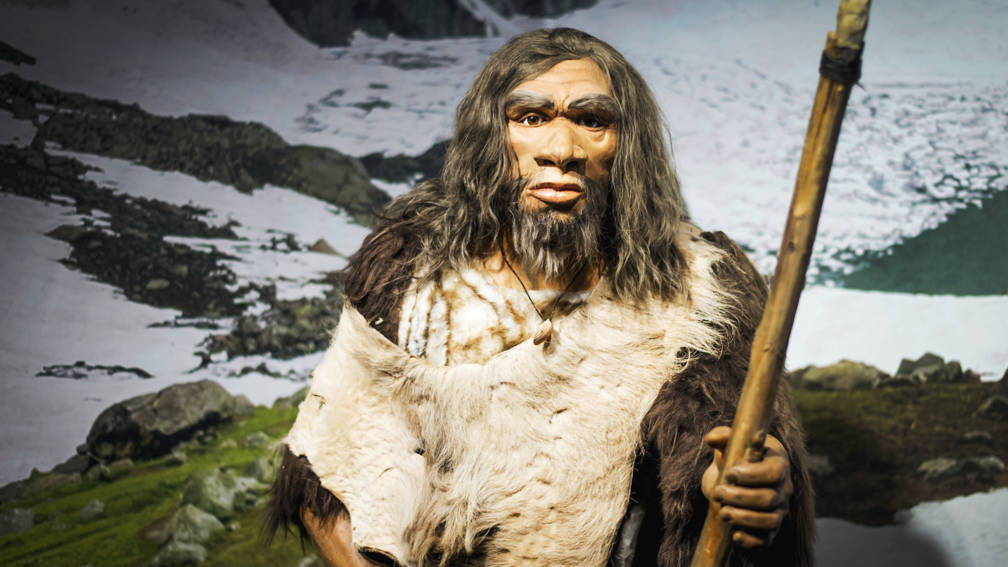 Điều này được cho là khiến người Neanderthals dần suy giảm về số lượng trước khi biến mất khỏi châu Âu vào khoảng 40.000 năm trước.