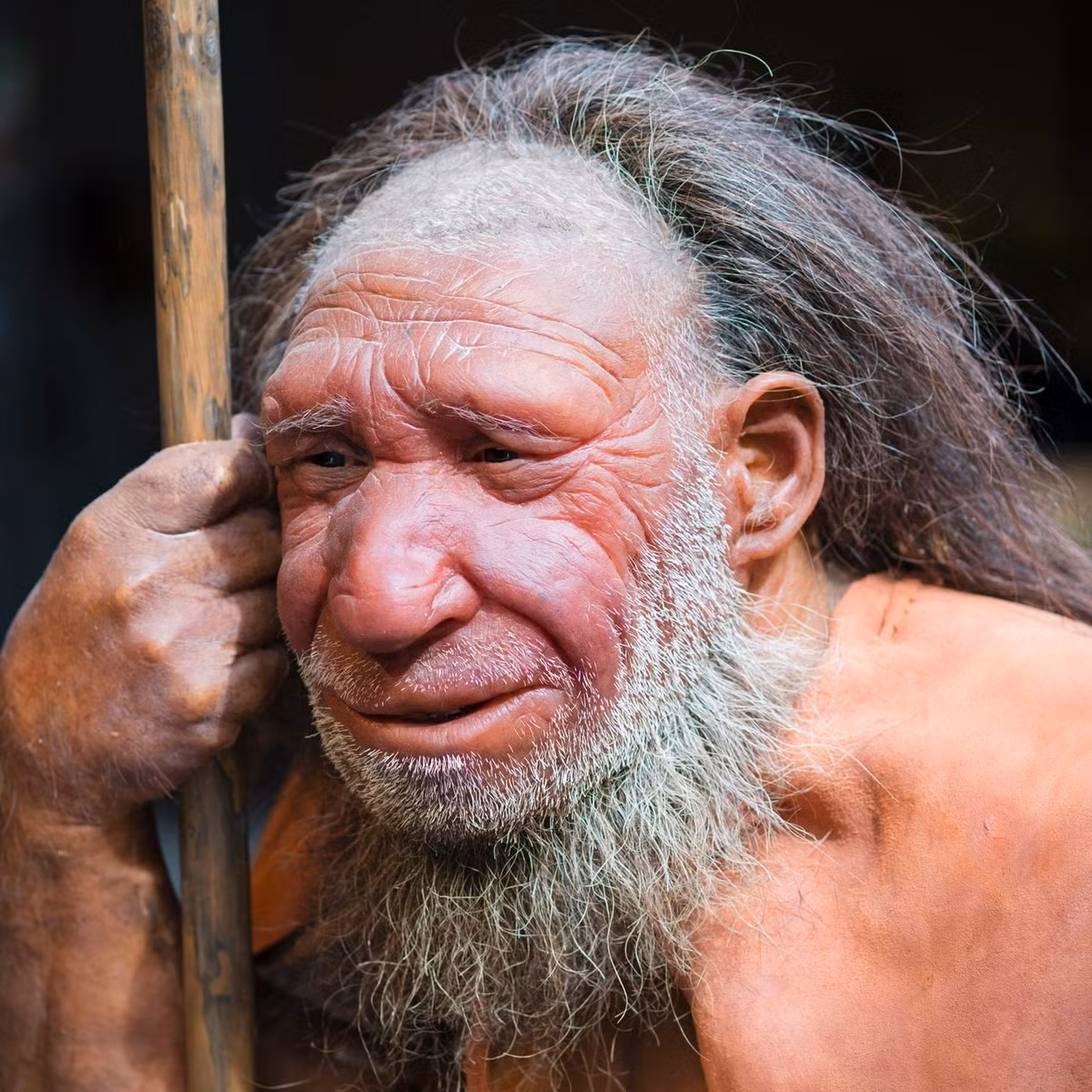 Gần đây, các chuyên gia thuộc nhiều trường đại học ở Tây Ban Nha và Anh đã có phát hiện quan trong về sự biến mất của người Neanderthals.