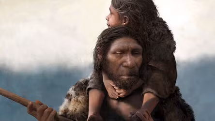 Người Neanderthals ăn rất nhiều thịt. Nguồn thực phẩm này đến từ các quái thú có kích thước to lớn thời tiền sử. Trong số này, họ chủ yếu ăn thịt voi và tê giác khổng lồ.