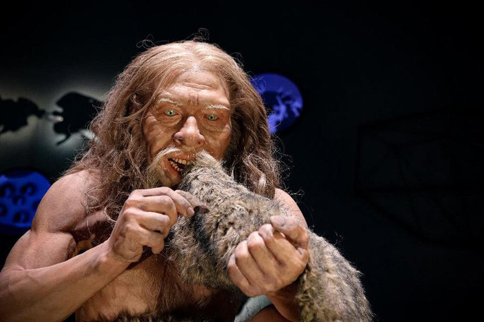 Nguyên nhân khiến người Neanderthals tuyệt chủng ở châu Âu vào khoảng 40.000 năm trước là một bí ẩn lớn mà giới khoa học nỗ lực đi tìm lời giải suốt nhiều thập kỷ qua.