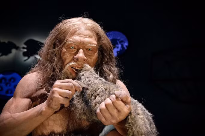 Nguyên nhân khiến người Neanderthals tuyệt chủng ở châu Âu vào khoảng 40.000 năm trước là một bí ẩn lớn mà giới khoa học nỗ lực đi tìm lời giải suốt nhiều thập kỷ qua.