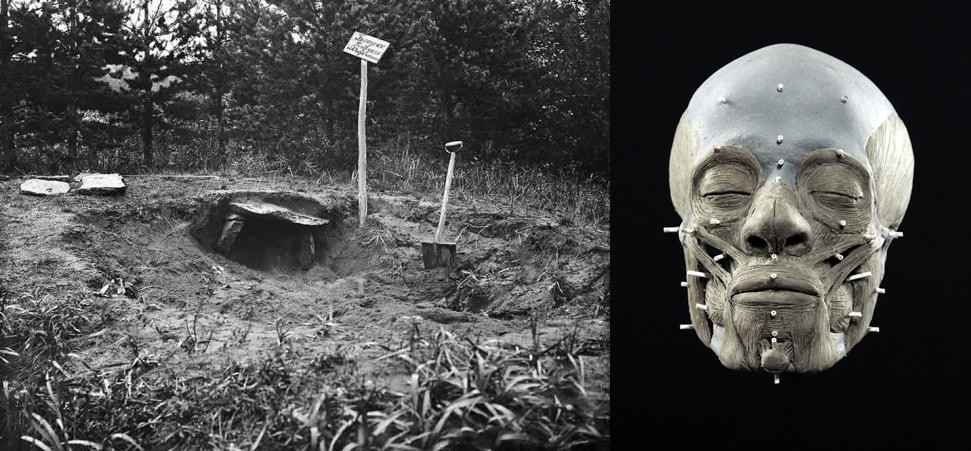 Cách đây hơn 1 thế kỷ, các nhà khảo cổ phát hiện một ngôi mộ bằng đá ở sâu trong một khu rừng của Thụy Điển. Bên trong mộ cổ 4.000 tuổi có chứa hài cốt của một phụ nữ khoảng 30 tuổi và cậu bé tầm 7 tuổi.