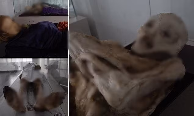 Khi đi tìm lời giải cho bí ẩn này, các chuyên gia được người dân địa phương truyền tai nhau câu chuyện về việc người xưa thường ăn loại quả bản xứ nhiều gai gọi là guatila.