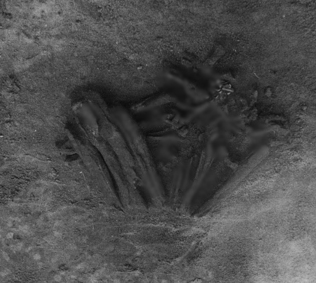 Tuy nhiên, những xác ướp ở Bồ Đào Nha không còn ở trong tình trạng hoàn hảo như xác ướp Chinchorro hay Ai Cập.