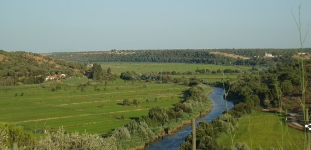 Trước đó, những xác ướp Chinchorro ở miền bắc Chile có niên đại khoảng 7.000 năm tuổi được xem là xác ướp lâu đời nhất thế giới. Những xác ướp này được con người bảo quản nguyên vẹn có chủ đích.