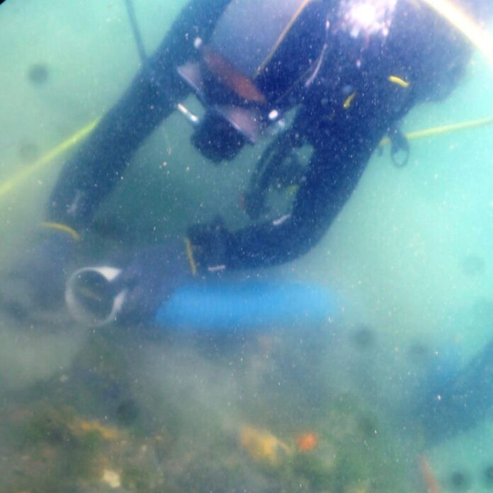 Vì vậy, các nhà nghiên cứu sẽ thực hiện kiểm tra, phân tích các mảnh gỗ từ xác tàu để giải mã những bí ẩn về con tàu Lyon, bao gồm lý do vì sao nó bị đánh đắm.