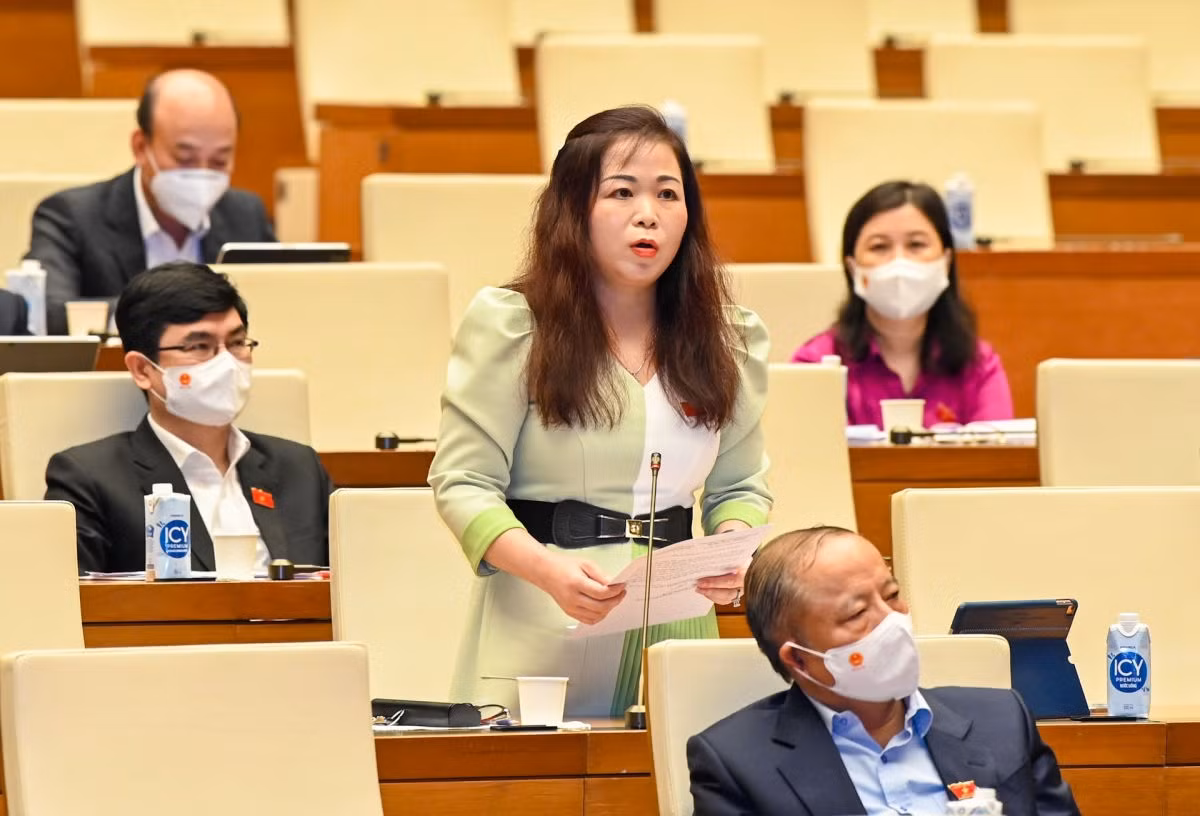 DBQH chuyen trach danh 2 ngay thao luan 4 luat trinh Quoc hoi tai Ky hop thu 3