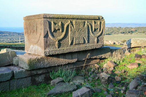 Theo các chuyên gia, thi hài được đặt trong quách chôn trong ngôi mộ Çanakkaleare thì chỉ mất khoảng 40 ngày để phân hủy hoàn toàn các mô, da, tóc.. và chỉ còn lại bộ xương.