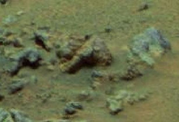 Trước những hoài nghi về việc chỉnh sửa bức ảnh, ông Martin cho hay không có bất cứ can thiệp nào để sửa ảnh. Ông khẳng định đó là ảnh gốc.